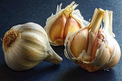 garlic.jpg